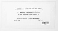 Image Associated With the Occurence